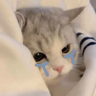 😢