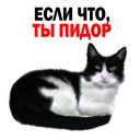 😂