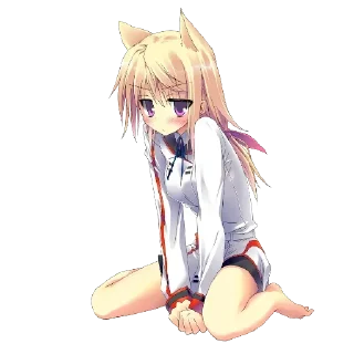 😺