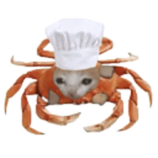 🦀