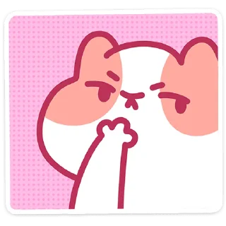 🐱