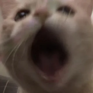 😳