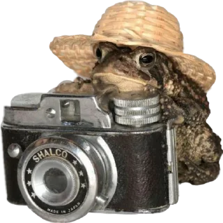 📷