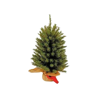 🌲