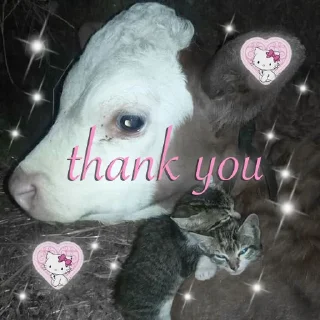 💗