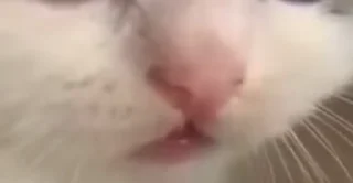 👄
