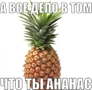🍍