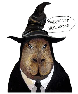 🎩