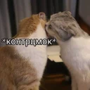 ☺️