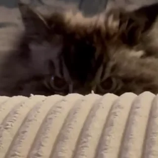 👿