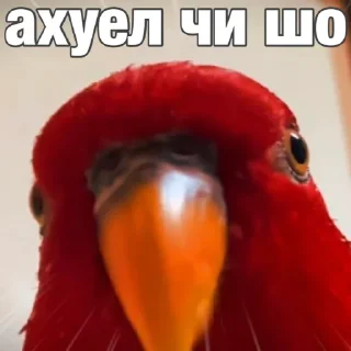 😤