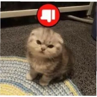 юбочка чулочки я чвк фембойчик)))