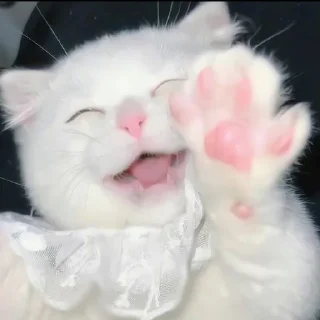 👋