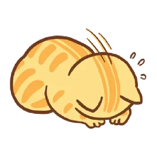 🐱