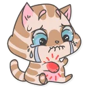 😿