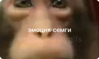😮‍💨