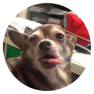 😝