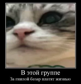 😶