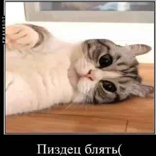 ☹