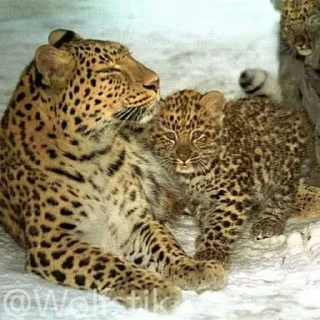 ❤️