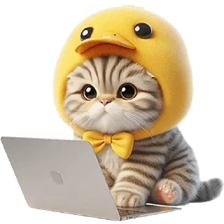 💻