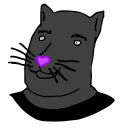 😺
