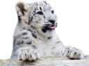 😛
