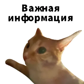 ☝️