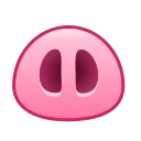 🐽