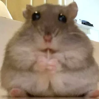 😳