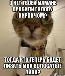 😭