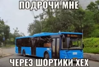 🩳