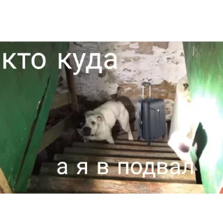 🥲