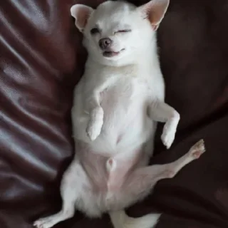 😉
