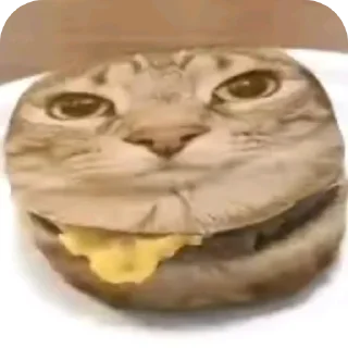 🍲