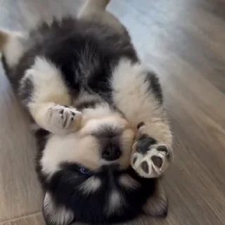 🙃