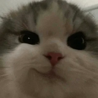 😏
