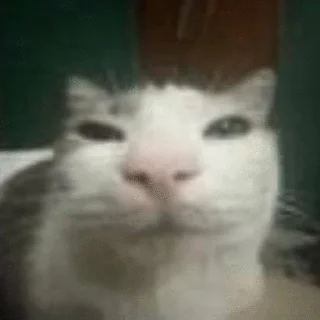 😤