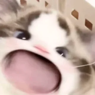😀