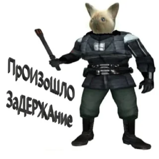 👮‍♂️