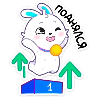 🐰