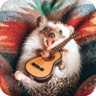 😄