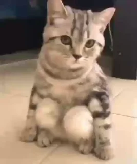 😐