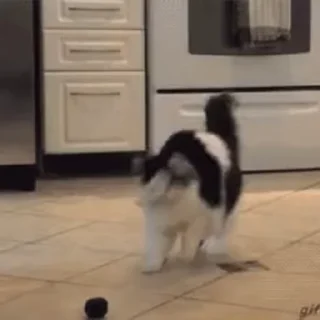 🤪