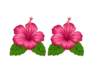 🌺