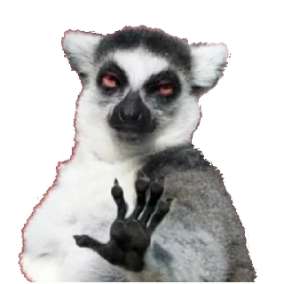 🤚