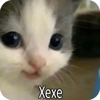 👍