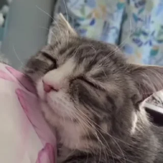 😴