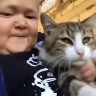 🐈