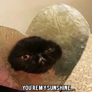 🌞